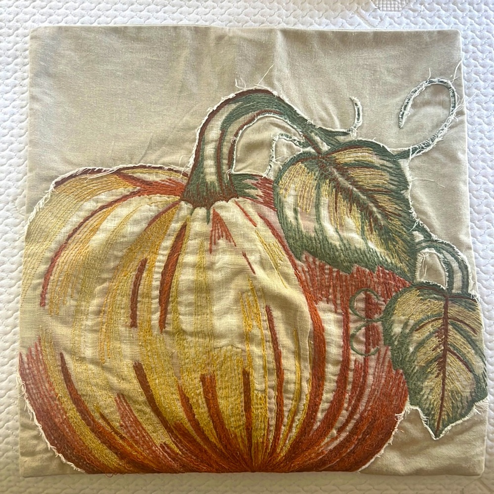 POTTERY BARN Fall pillow cover
